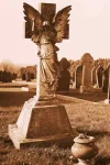 angel2.webp