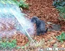 Das Mädche mit einem Naturgeist.webp