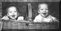 nest.webp