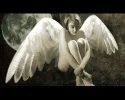 Angel-x.webp