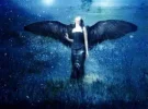 photo.webp
