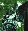 love-and-devotion.webp