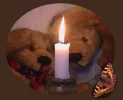 k_08.webp