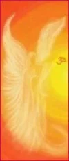 engel_orange.webp