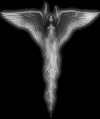 dark%20angel.webp