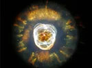 bild05.webp