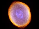 bild19.webp