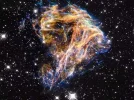 bild12.webp
