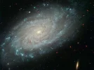 bild17.webp