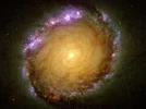 bild18.webp
