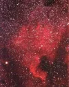 nebel0199.webp