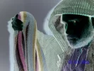 Bild 014.webp