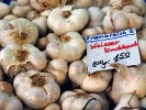 knoblauch_250.jpg