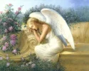 serenitysgarden72.webp