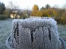 IMAG3259.webp