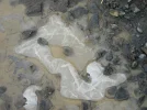 IMAG3296.webp