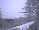 27.XI.`05 (So.)009.webp