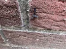 IMG_9603.webp