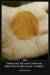 blatt.webp