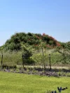 IMG_9609.jpeg