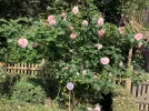IMG_3440.jpeg