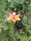 IMG_20230611_124825.webp