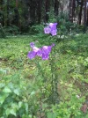 IMG_20230617_133210.webp