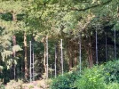 20230618_095842.webp