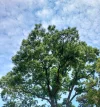 20230619_120638.webp