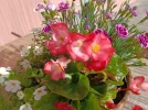 IMG_20230619_082020.webp