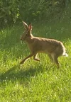 Screenshot_20230627_190732_Video Editor.webp