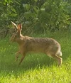 Screenshot_20230627_190745_Video Editor.webp