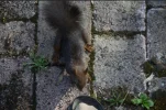 1687977456526.webp