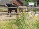 20230702_092457.webp