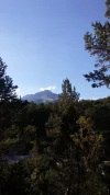 20220803_180625.webp