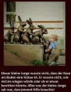 help.webp