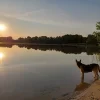 20230709_061404.webp