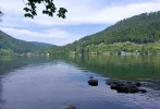 IMG_20230710_105351.webp