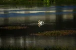 _IMGP9033k.webp