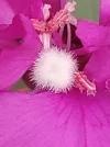 20230722_200208.webp