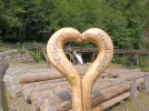 IMG_20230711_103123.webp