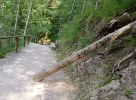 IMG_20230711_101443.jpg