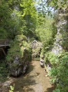 IMG_20230711_110930.webp