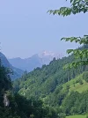 IMG-20230713-WA0004.webp