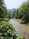 IMG_20230711_104312.webp