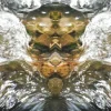 wasser 3.webp