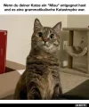 9 a Katze.webp