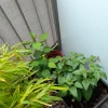 20230731_110333.webp