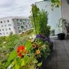 20230731_110119.webp