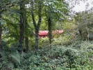 20230804_125850.jpg